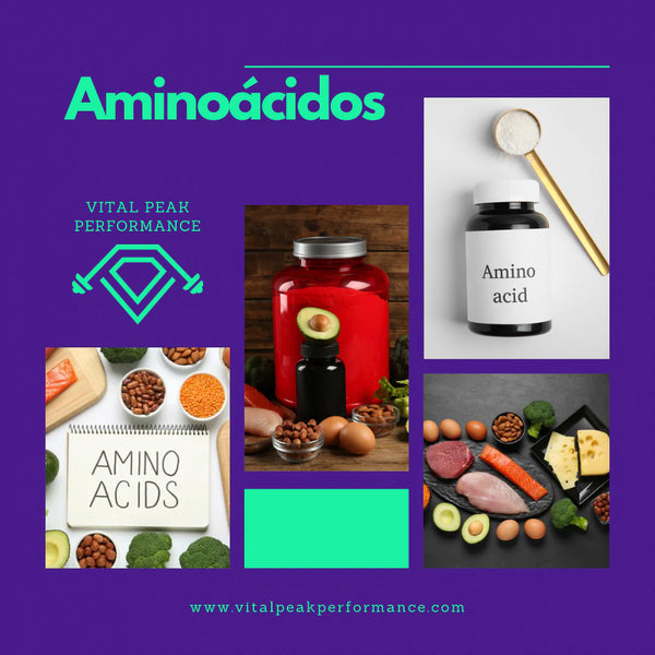 Aminoácidos